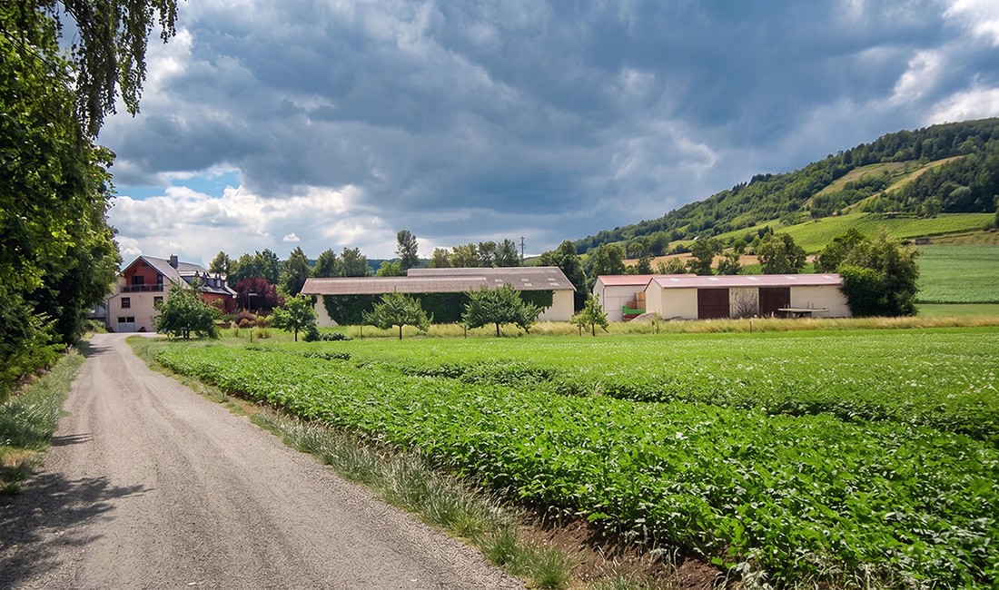 Eindruck vom Kartoffelhof Keller 4